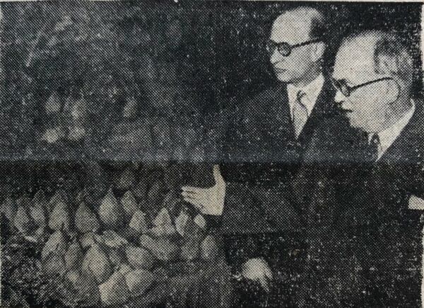 N° 1567 du Canard Enchaîné -  1 Novembre 1950 – Image 2